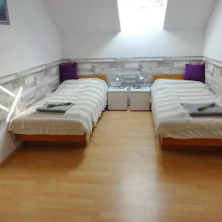 Albizia Balatonfüred