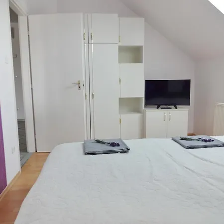 Albizia Balatonfüred