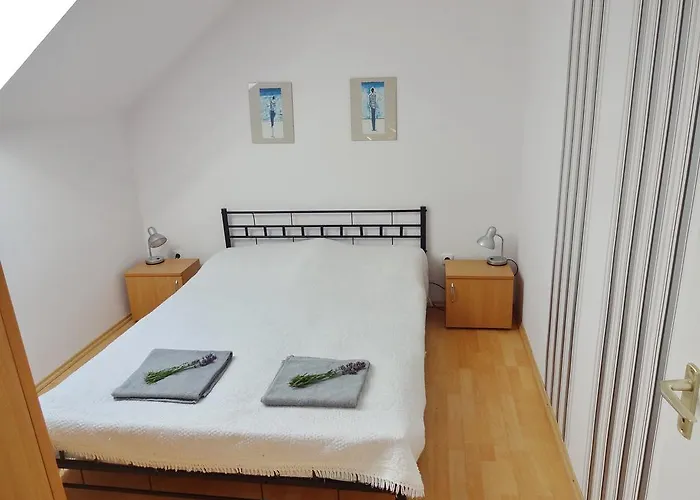 Albizia * Balatonfüred