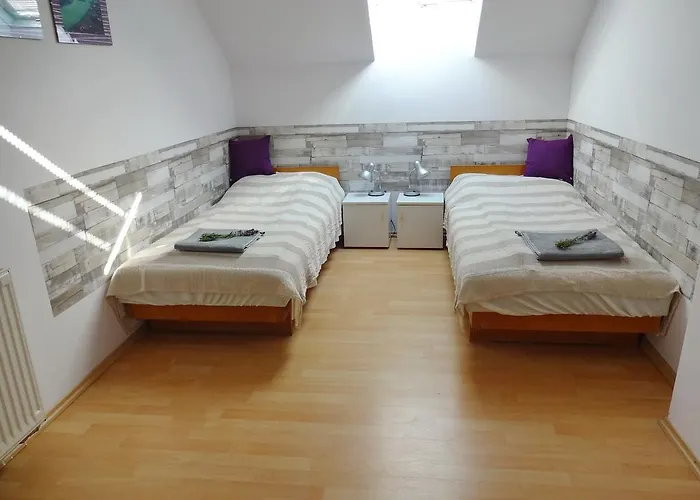 Albizia Balatonfüred