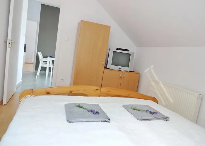 Albizia * Balatonfüred