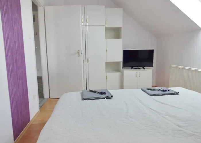 Albizia Balatonfüred